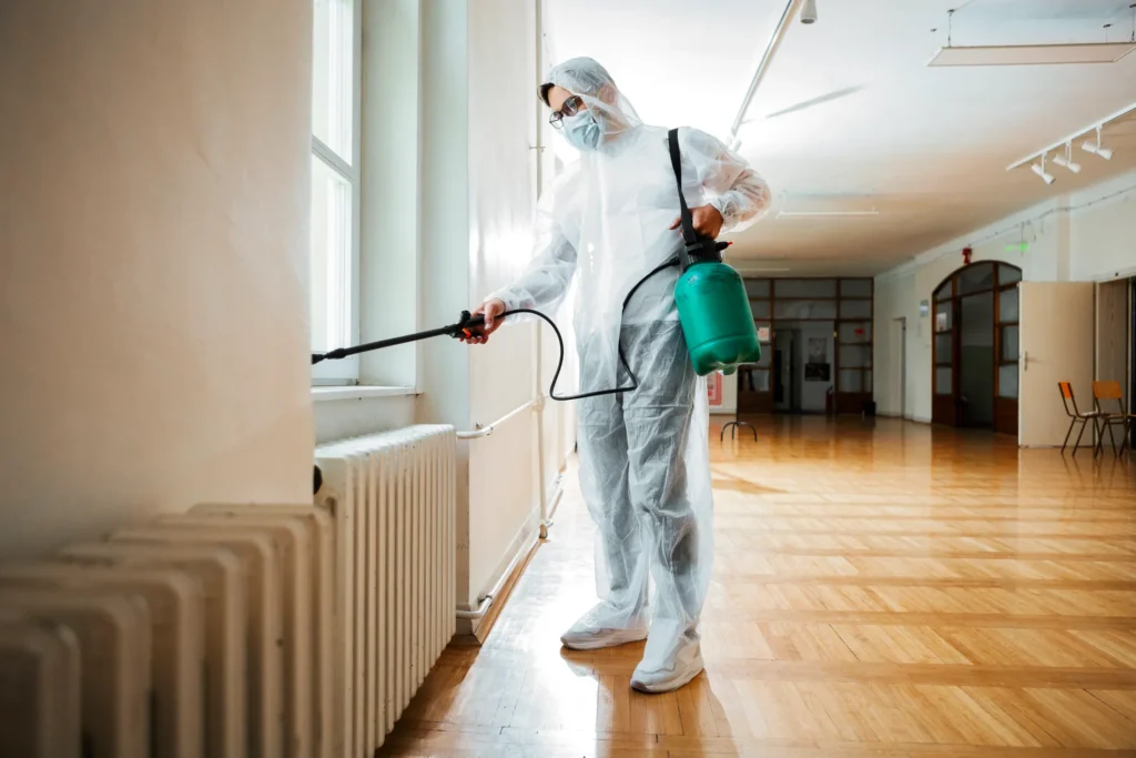 How Our Process Works - Orangevale Best Pest Pros | Orangevale, CA