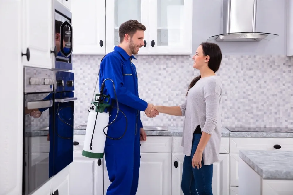 Pest Control Experts - Orangevale Best Pest Pros | Orangevale, CA